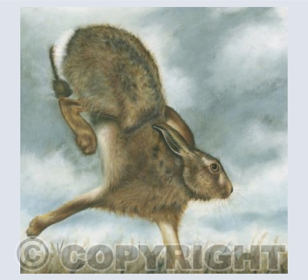 Bolting Hare