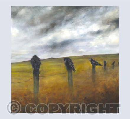 Salisbury Plain Crows