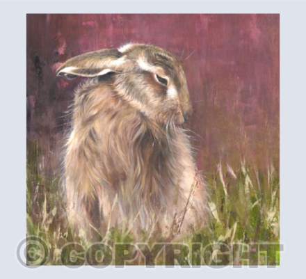 Sleepy Hare