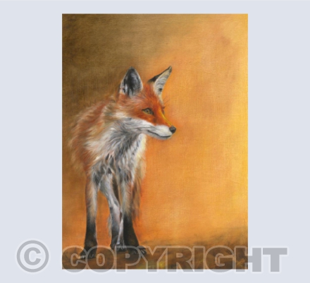 Sunset Vixen