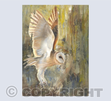 Barn Owl Abstract