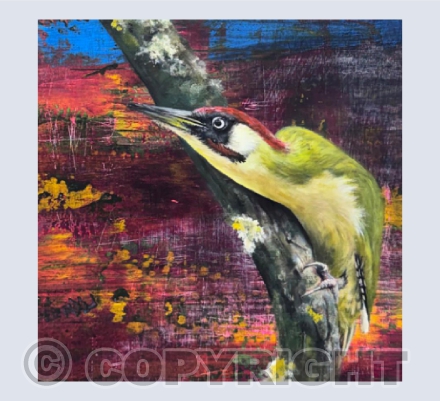 Green Woodpecker