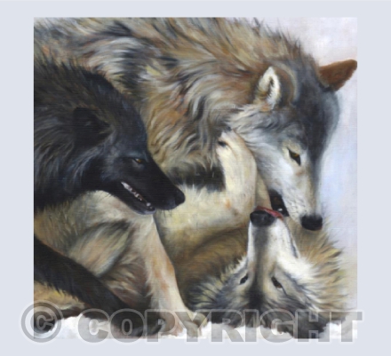 Wolf Tumble
