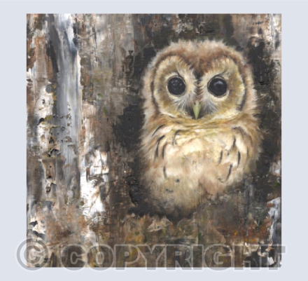 Tawny Owlet