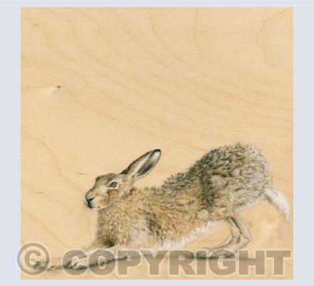 Stretching Hare