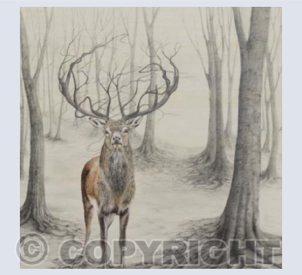 Tree Stag 2