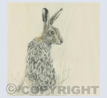 Hare Turning