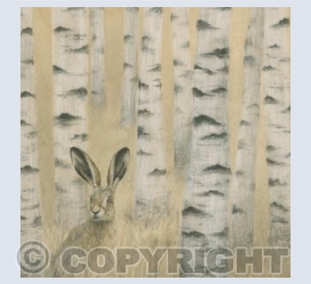 Hare in Birch