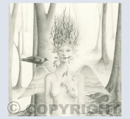 Wood Sprite