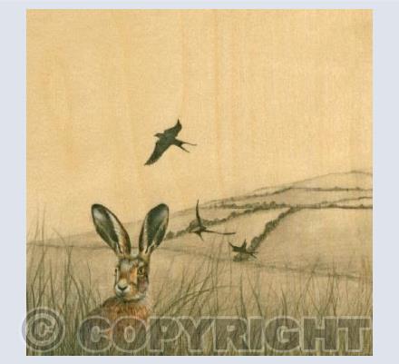 Hare And Swifts