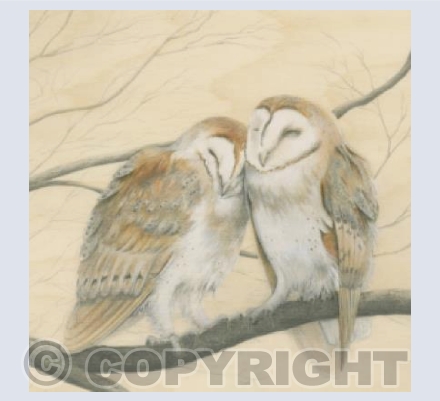 Sleepy Chicks