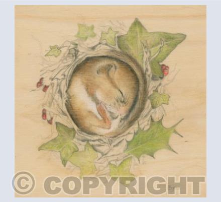 Yuletide Dormouse