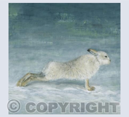 Yoga Hare
