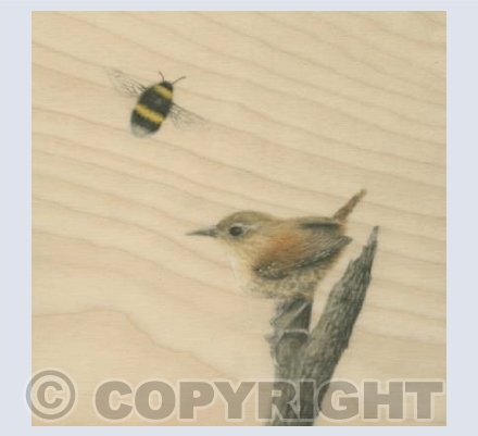 Wren And Bumblebee  