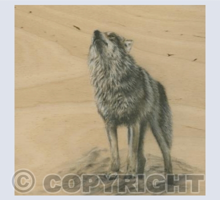 Wolf