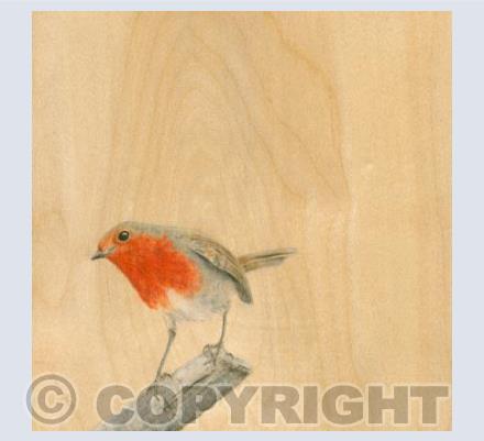 Curious Mr. Robin