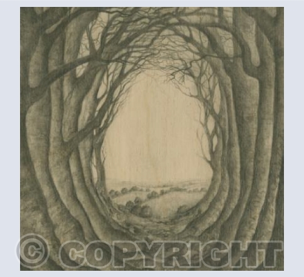 Spring Holloway