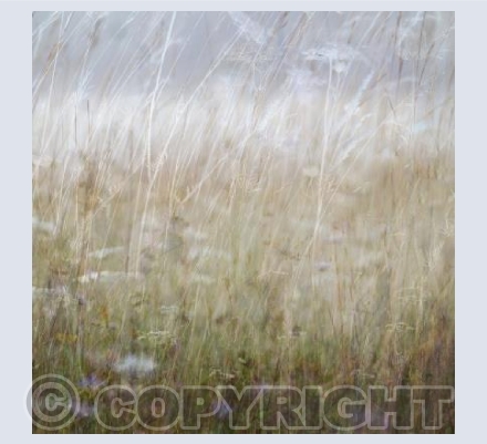 Dorset Downs II
