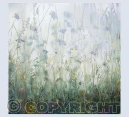 Dorset Downs III