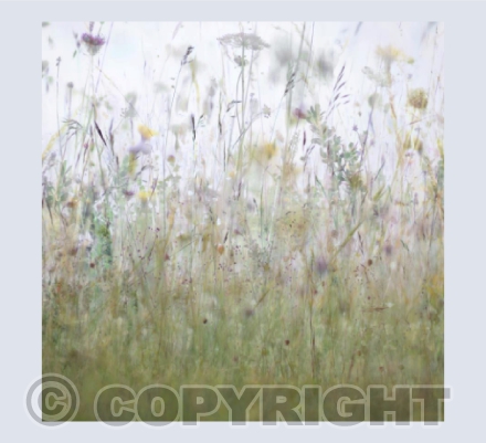 Chalk Downland card
