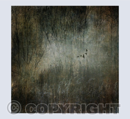 Winter Flight