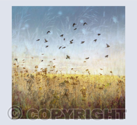 Goldfinches card