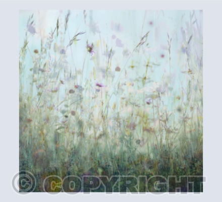 Chalk Grassland III
