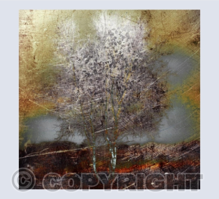 Birch card