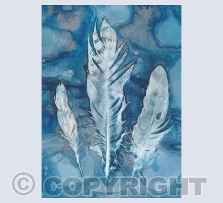 3 Feathers