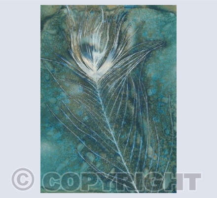 Peacock feather II