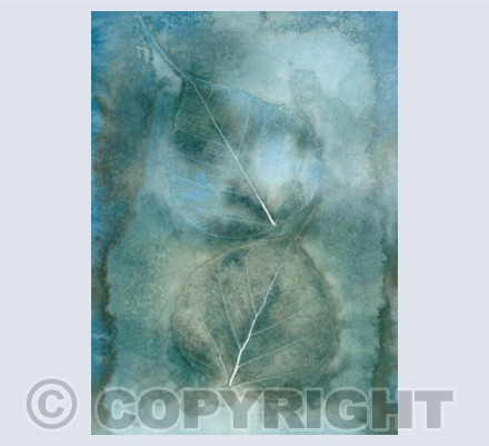 Bodhi leaves II