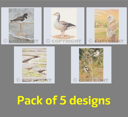 Norfolk & Suffolk Birds