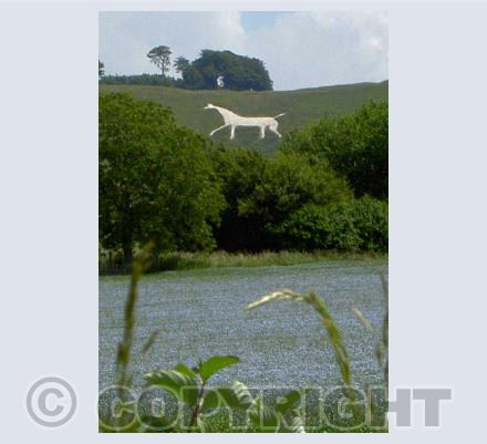 Chalk Horse