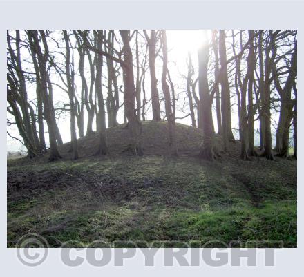 Barrows
