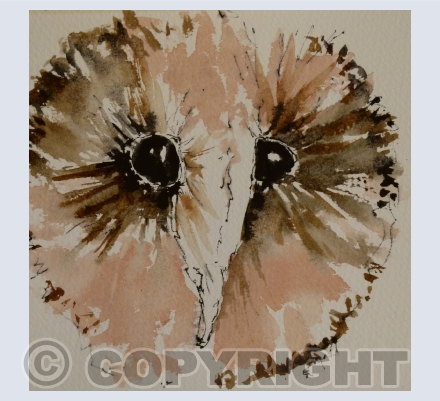 Owls