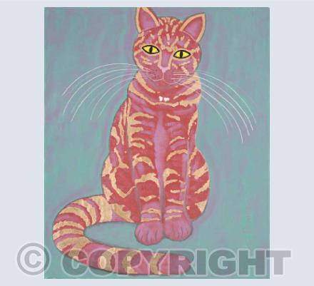 CATS