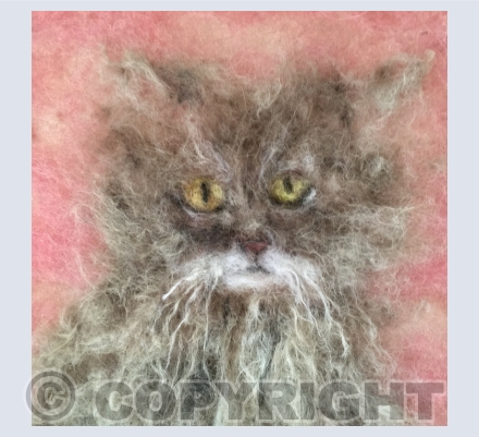 Cats - feltings