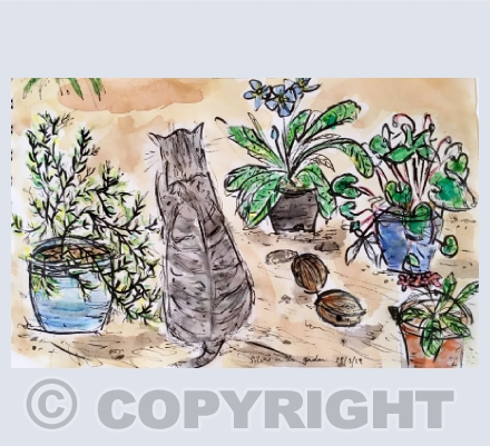 Watercolour & pen