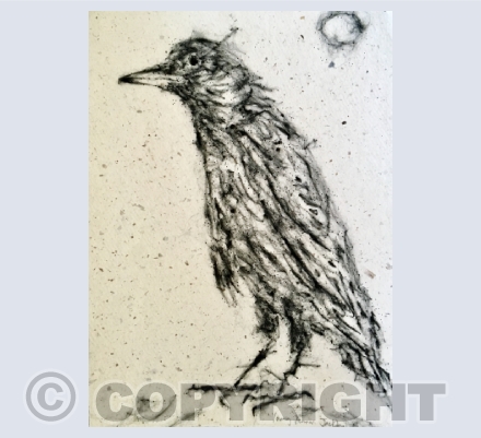 Needle-punch sketches