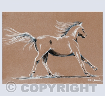 Horses