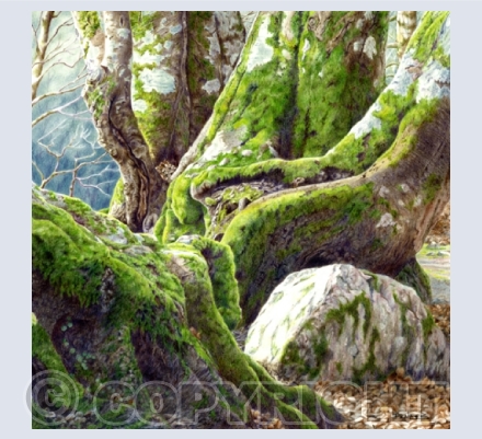 Landscapes