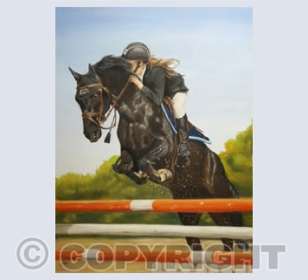 Exquisite Equines Collection