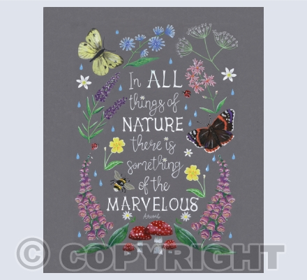 C) Illustrated Quote Cards