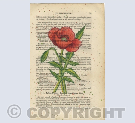 I) Vintage Floral Book Pages