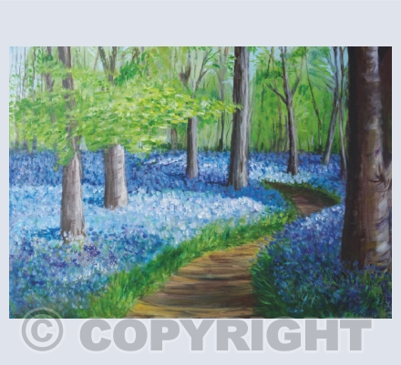 landscapes