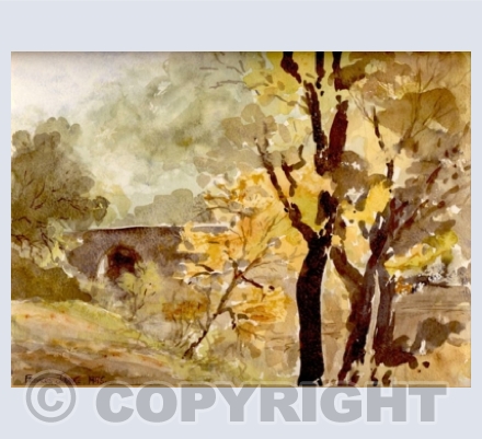 Countryside