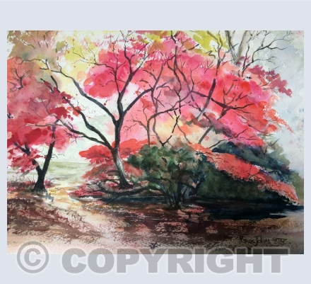 Trees
