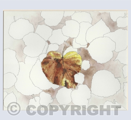 flowers, leaves and plants