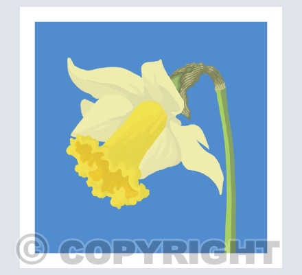 iPad drawings general