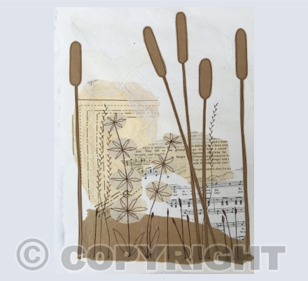 Tehidy woods and marshes